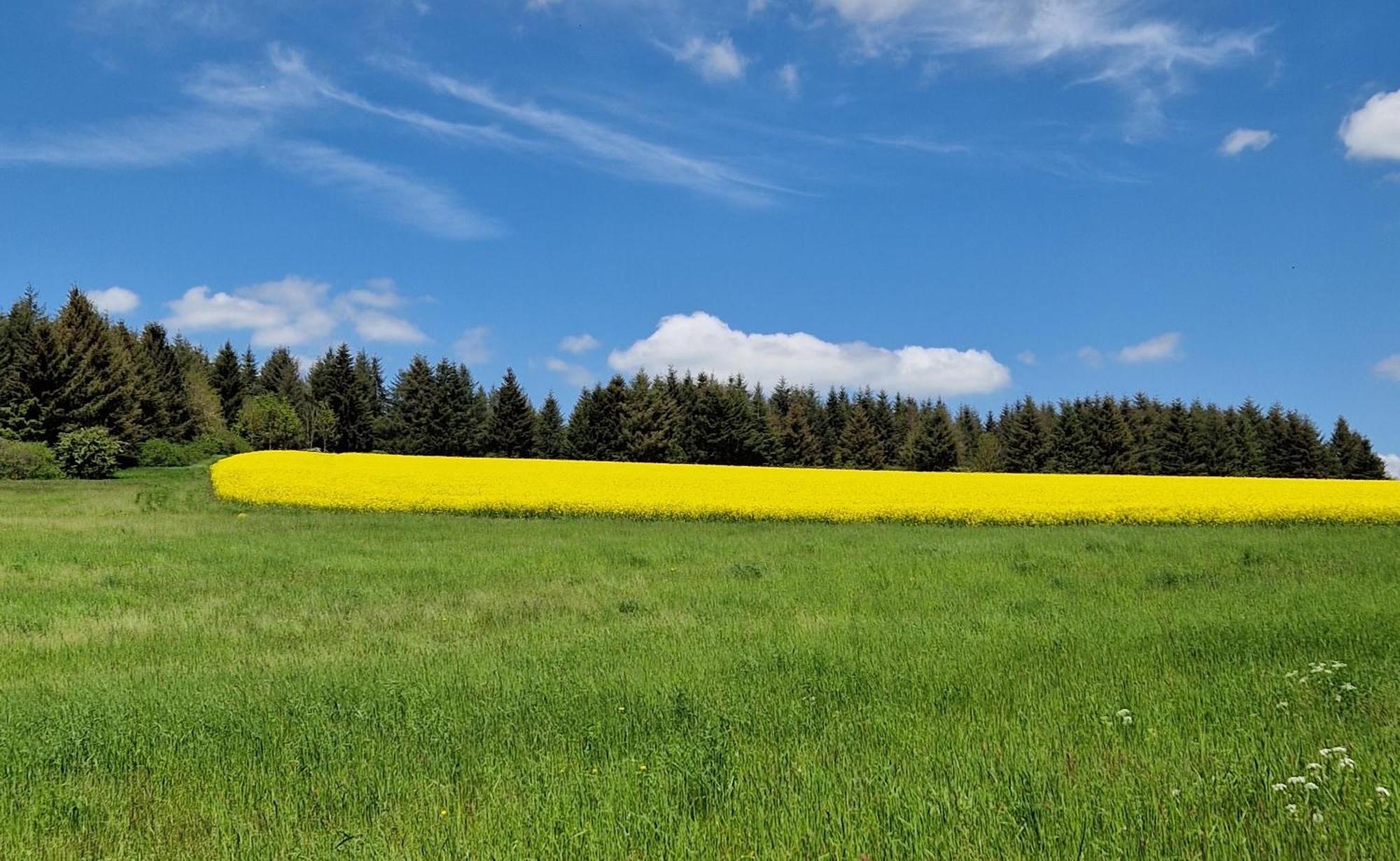 Ferienhaus Egger Üdersdorf Exteriör bild